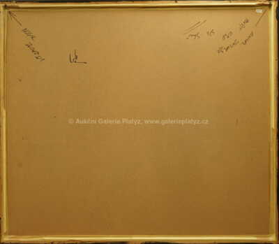  / Müllerova střední mapa Čech / Christoph Müller