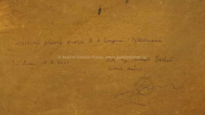  / Břízi v krajině / Emil Artur Pitterman - Longen