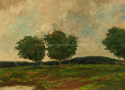  / Stromy na louce / Gustav Macoun