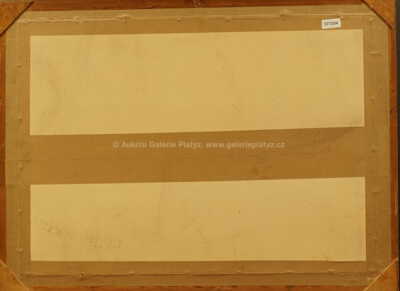  / Paříž / Josef Jíra