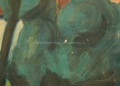  / Z venkova / František  Foltýn