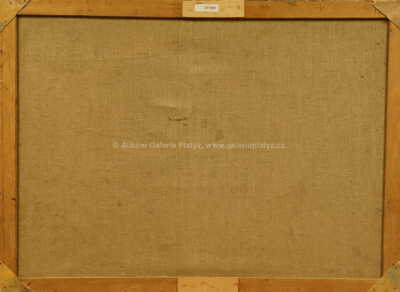  / Z venkova / František  Foltýn