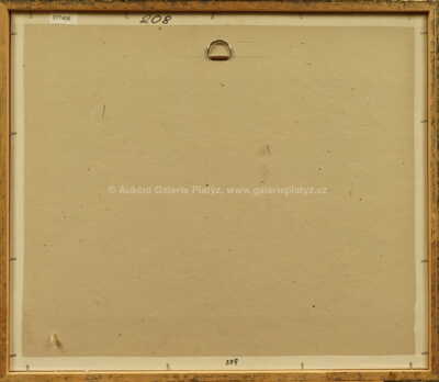  / Delfín / Tomáš Bím