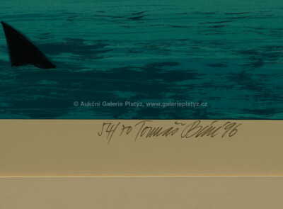  / Delfín / Tomáš Bím