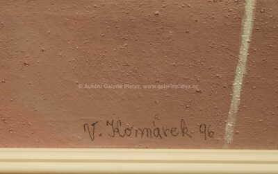  / Bílí ptáci / Vladimír Komárek