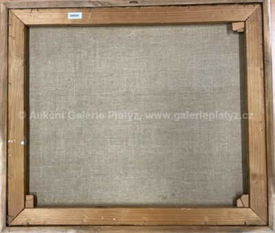  / Bílí ptáci / Vladimír Komárek