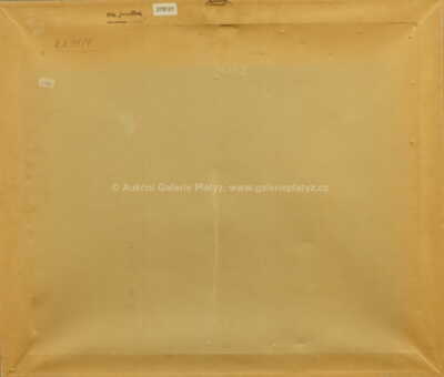  / Buňky / Ota Janeček