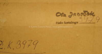  / Buňky / Ota Janeček