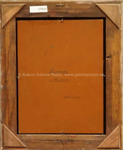  / Šumava u Husince / Jaroslav Háša