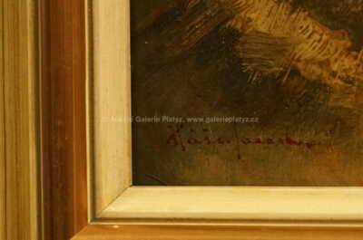  / Šumava u Husince / Jaroslav Háša