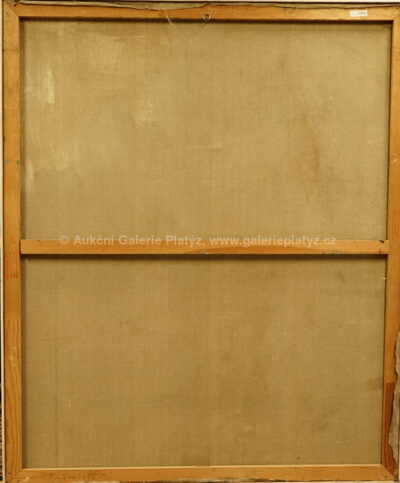  / Postava / Mirek Kaufman