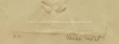  / Klíčnice / Olbram Zoubek