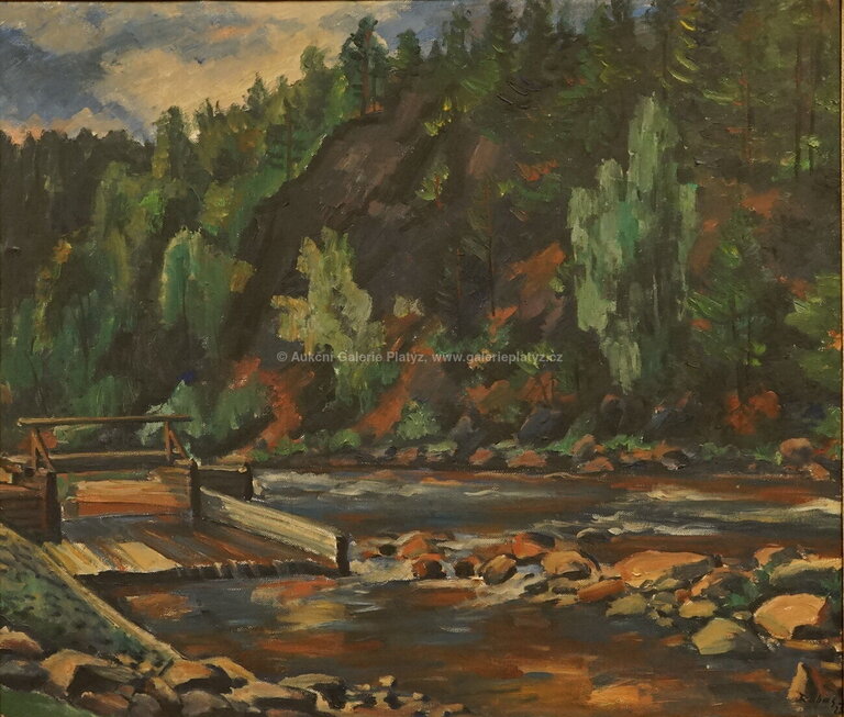  / Vydra / Václav Rabas