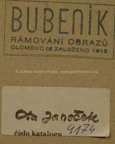  / Maskovaná postava / Ota Janeček