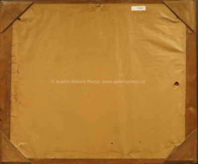  / Vesnický rybník / František Homoláč