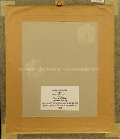  / Trýzeň duše / Marie Čermínová - Toyen