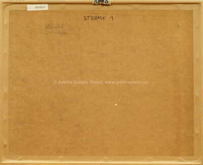  / Konvolut dvou kusů / Vladimír Komárek