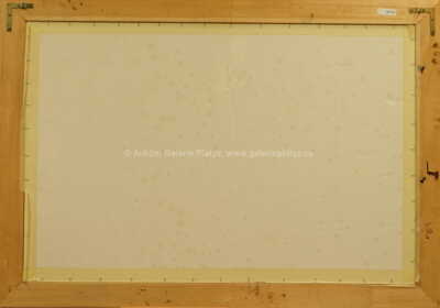  / Za humny / Vojtěch  Sedláček