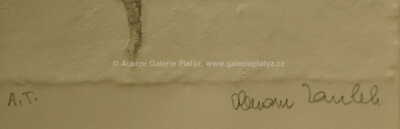  / Ruka s ratolestí / Olbram Zoubek