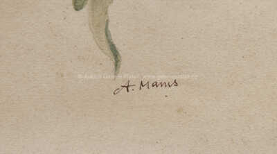  / Jiřičky / Amalie Mánesová