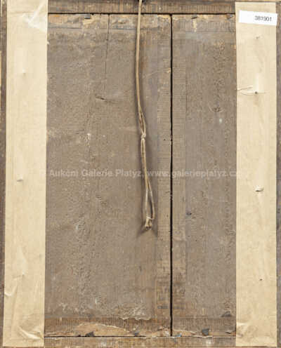  / Jiřičky / Amalie Mánesová