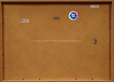  / Tell me about the habits / Pasta  Oner