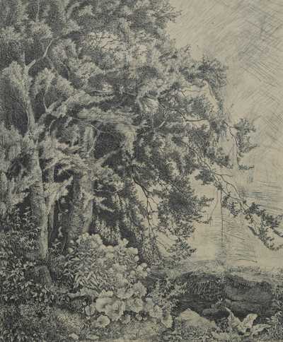  / Okraj pralesa / Julius Mařák