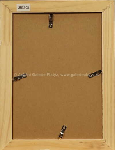  / Eiffelovka / František  Tichý