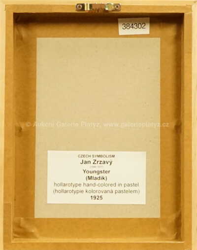  / Mladík / Jan  Zrzavý
