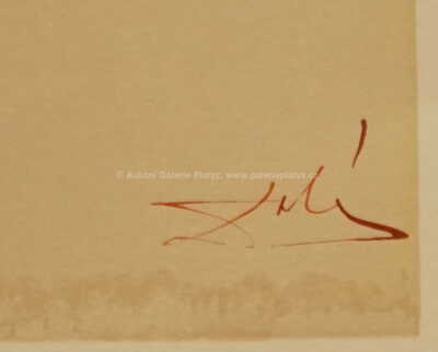  / Božská komedie / Salvador Dalí