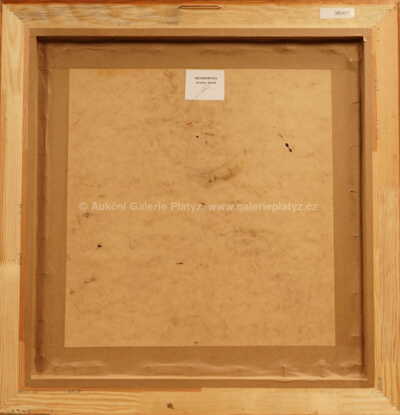  / Metamorfóza / Jaroslav Vlasák