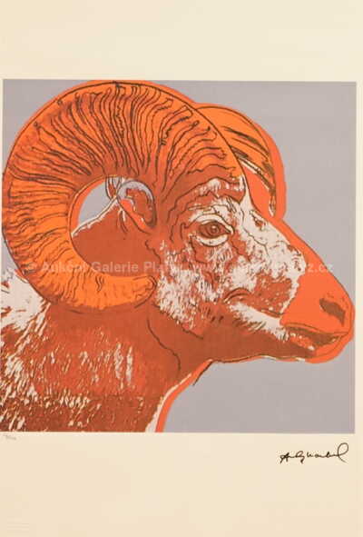  / Beránek / Andy Warhol