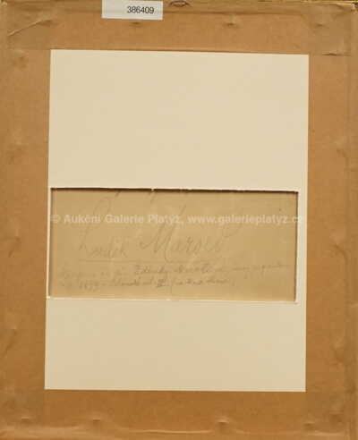  / Studie / Luděk Marold