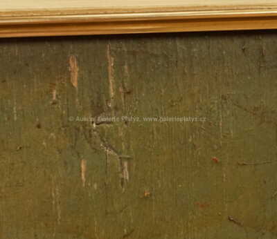  / Muzikanti ve Vysokém Mýtě / František Matoušek