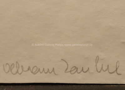  / Hlava ženy, která povstává / Olbram Zoubek