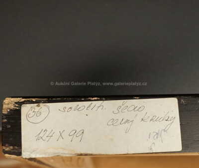  / Šedočerné kruhy / Jiří Lacina