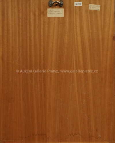  / Profil / Jiří Lacina