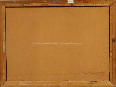  / Zátiší s ovocem / Václav Špála