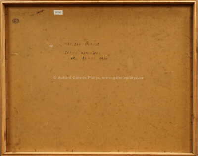  / Tabule vzpomínek / Miroslav Šnajdr