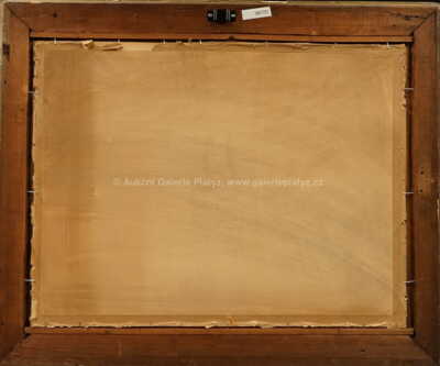  / U rybníka / Josef Ullmann