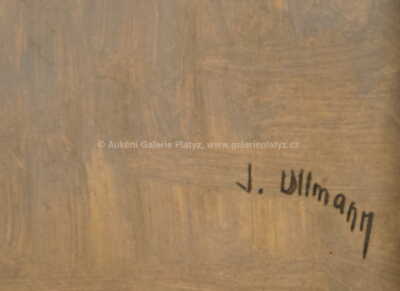  / U rybníka / Josef Ullmann