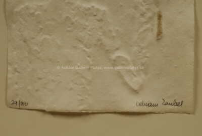  / Muž v prázdnu / Olbram Zoubek