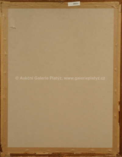  / Studie / František Kupka