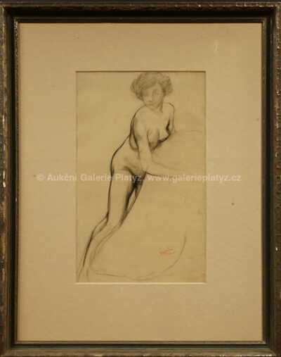 František Kupka - Studie