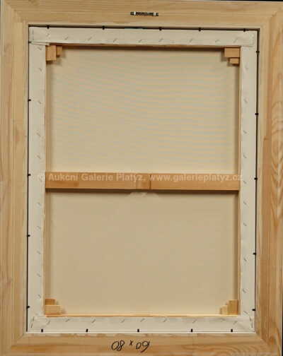  / Týn / František Ringo Čech