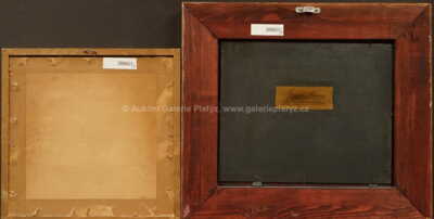  / Konvolut dvou kusů / Jaroslav Háša