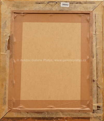  / Dívka myjící si vlasy / Václav Špála