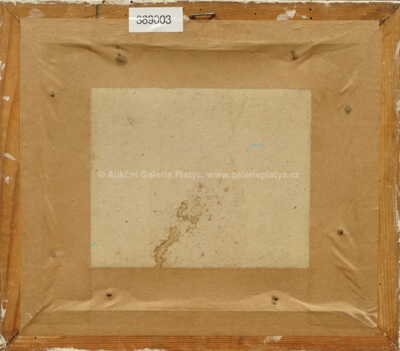  / Generálské zjevení / Josef Hlinomaz