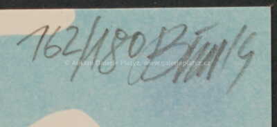  / Konvolut dvou kusů / Tomáš Bím