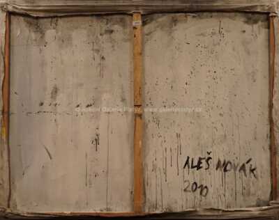  / Lesní interiér / Aleš Novák